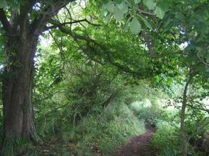 Wanderweg Lüdinghausen