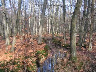 Im Tiergarten